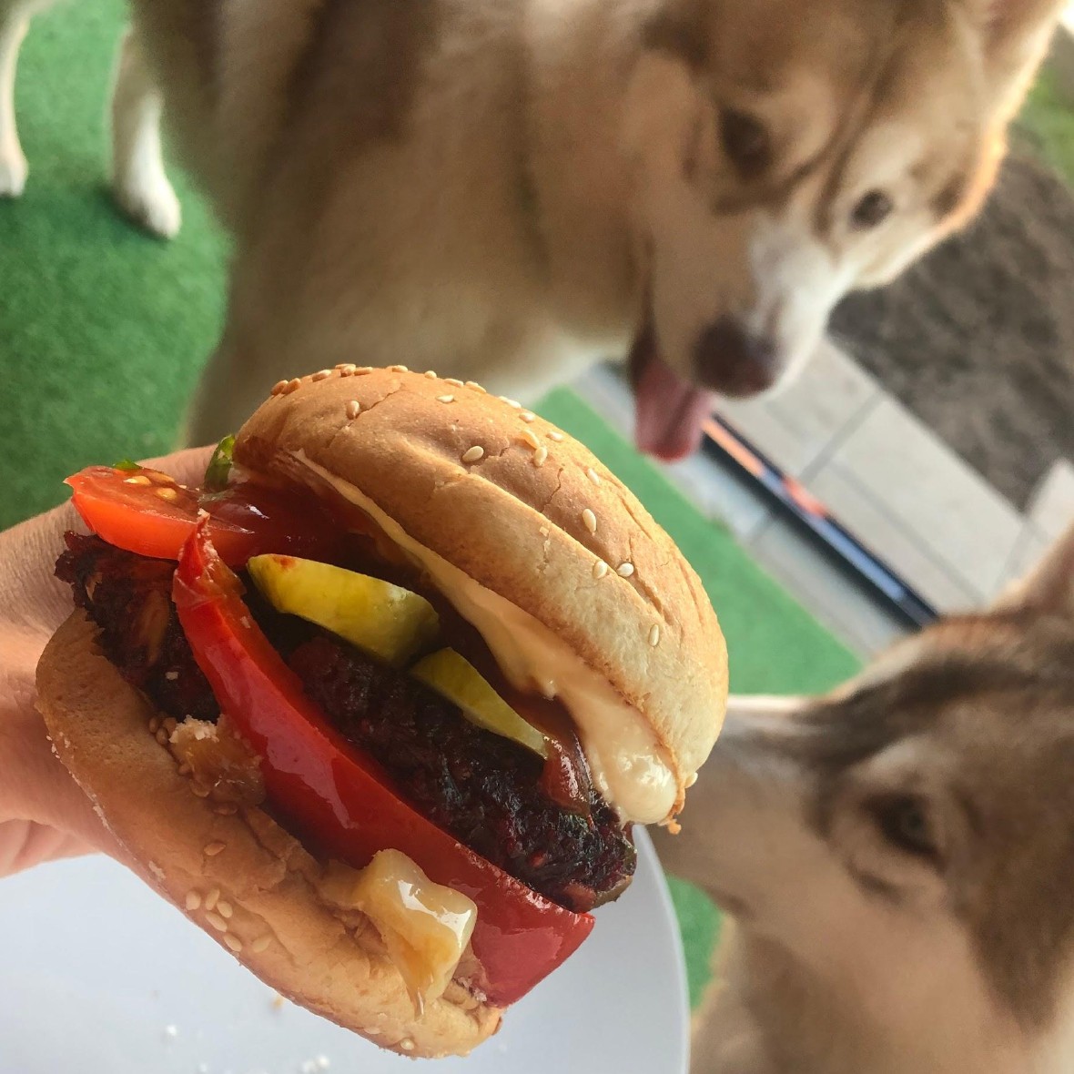 Burger wegański